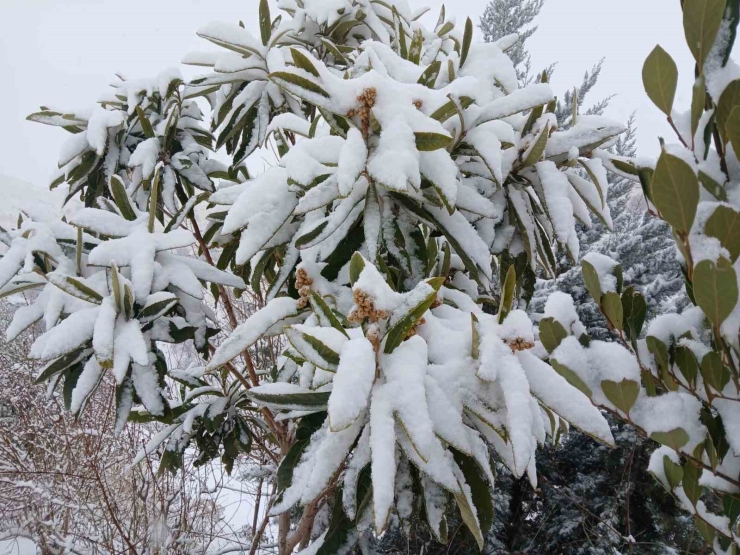 Pütürge’de Kartpostallık Görüntüler