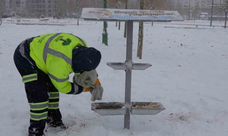 Şehitkamil Sokak Hayvanlarını Unutmadı