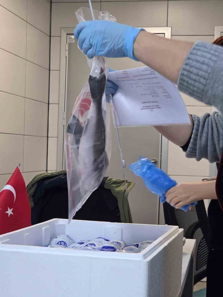 Söke’de 2025 Yılında 2 Bin 507 İşletme Denetlendi