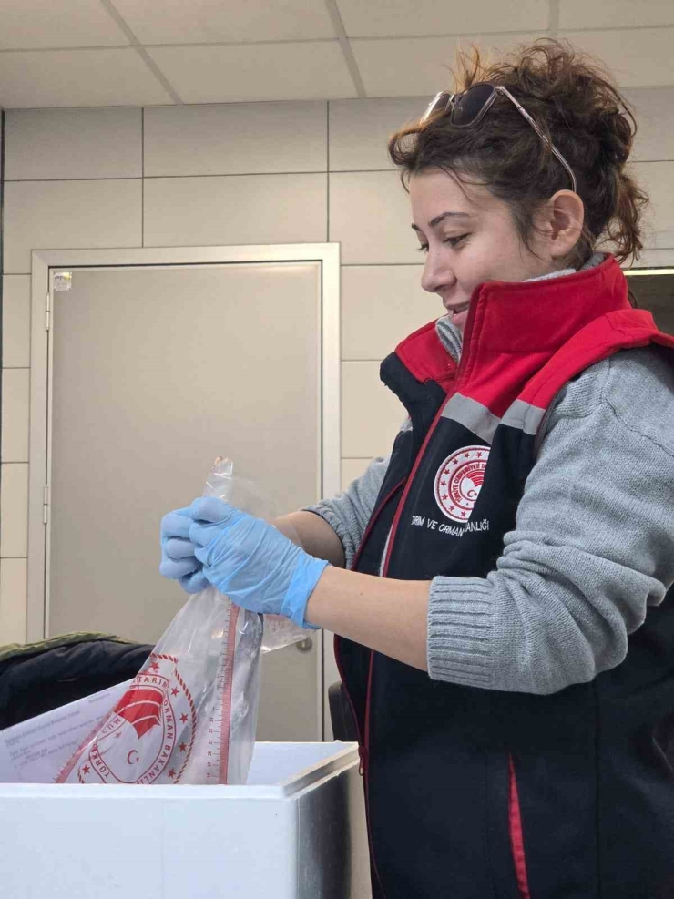 Söke’de 2025 Yılında 2 Bin 507 İşletme Denetlendi