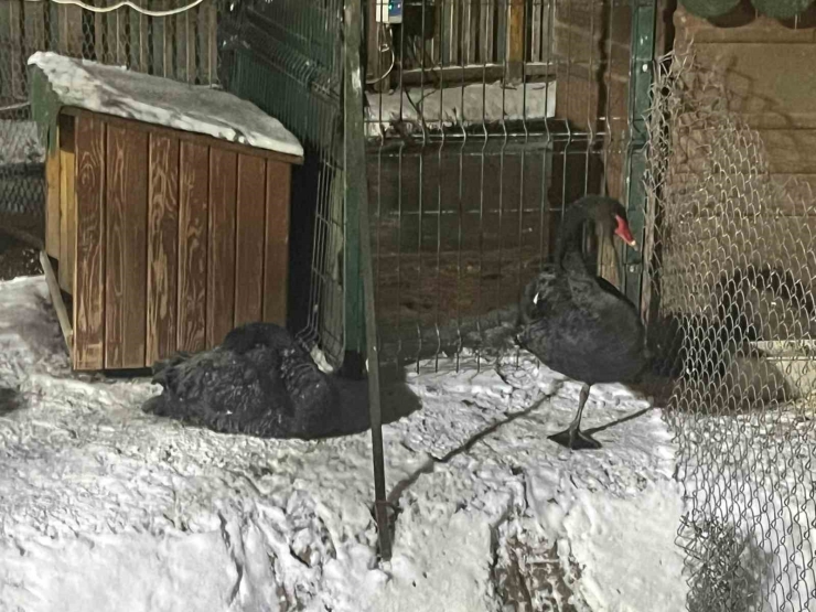 Ankara’da Kar Yağışının Ardından Hava Sıcaklığı Eksi 11 Dereceye Kadar Düştü