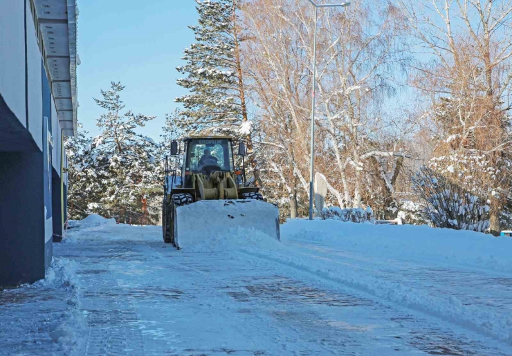 Atatürk Üniversitesi Kampüsünde Kar Temizleme Çalışmaları Aralıksız Sürüyor