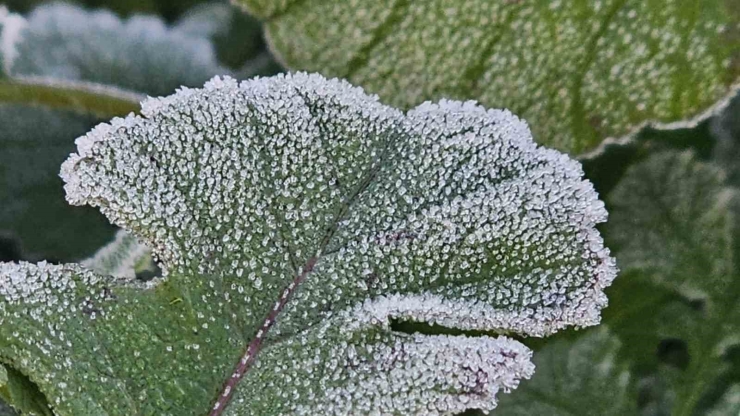 Bandırma’da Dondurucu Soğuk Etkisini Artırdı, Sıcaklık -7 Dereceye Kadar Düştü