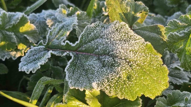 Bandırma’da Dondurucu Soğuk Etkisini Artırdı, Sıcaklık -7 Dereceye Kadar Düştü