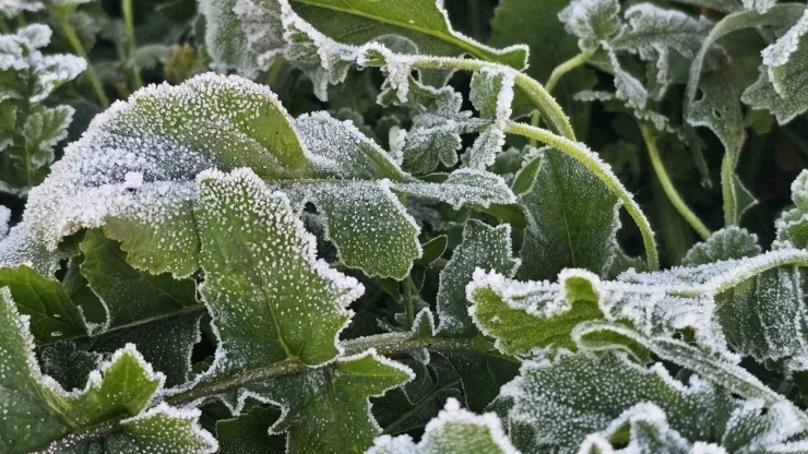 Bandırma’da Dondurucu Soğuk Etkisini Artırdı, Sıcaklık -7 Dereceye Kadar Düştü