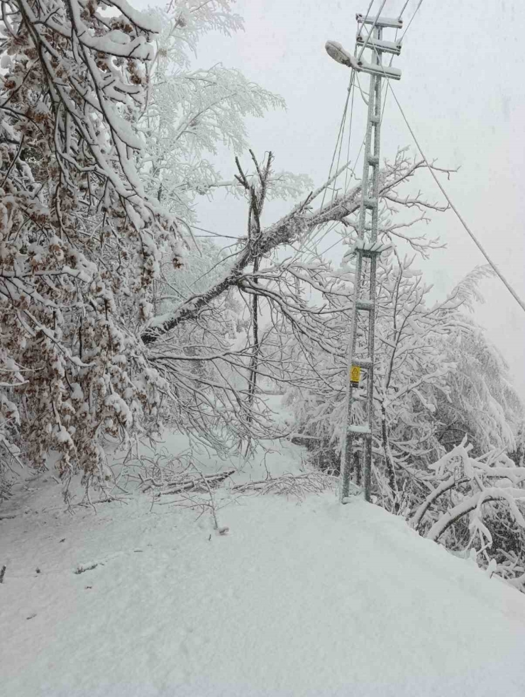 Başkent Edaş Zorlu Kış Şartlarında 7/24 Sahada Mücadele Ediyor