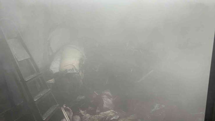 Kediler Isınsın Diye Kullanılan Elektrikli Isıtıcı Yangına Sebep Oldu