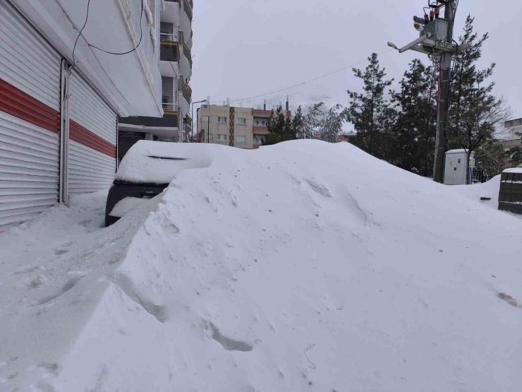 Gercüş’te Kar, Arabaların Boyunu Geçti