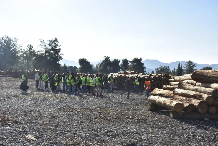 Köyceğiz Meslek Yüksek Okulu Öğrencileri Eğitimlerini Arazide Sürdürüyor
