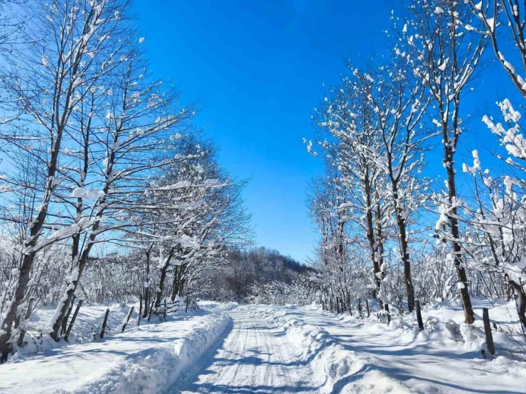 Ordu’nun Yüksek Kesimlerinde Kar Manzarası
