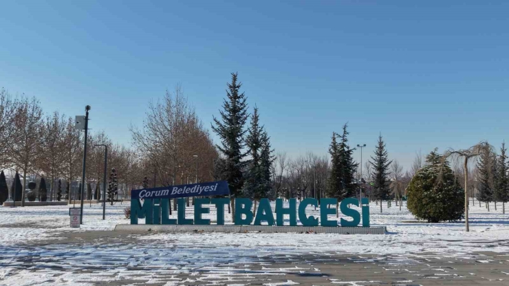 Çorum’da Kar Kartpostallık Görüntüler Oluşturdu