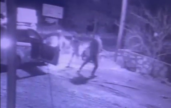 Bodrum’da Akrabalar Birbirine Girdi: 1 Tutuklama