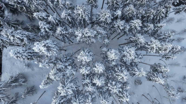 Kar Trabzon’u Beyaza Bürüdü