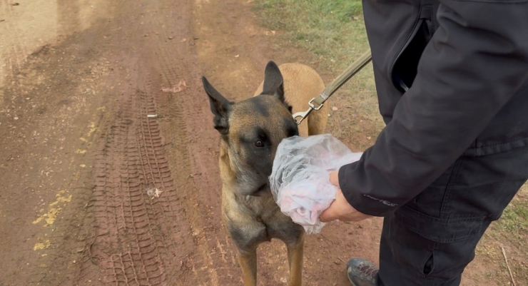 7. Gün Kapıdağ’da Umut Nöbeti Sürüyor