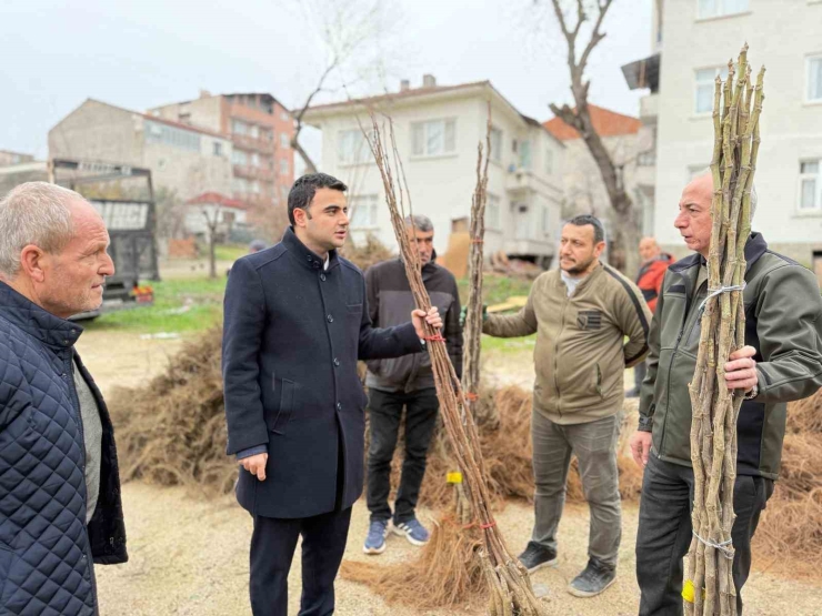 Bilecik’te Çiftçilere Meyve Fidanı Desteği