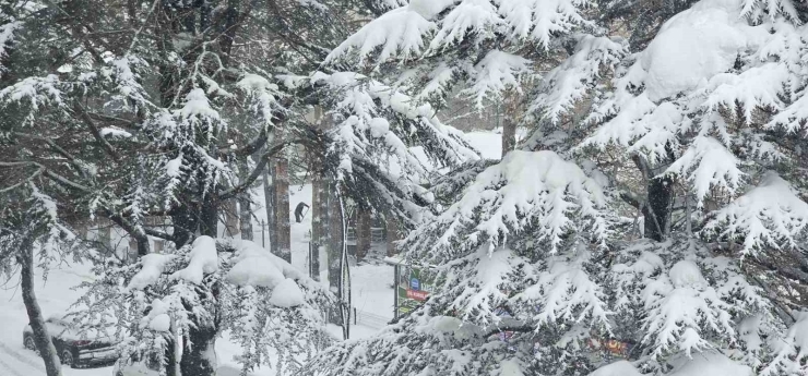 Tatvan’da Sibirya Soğukları Etkili Oluyor: Çatılarda Metrelerce Buz Sarkıtları Oluştu