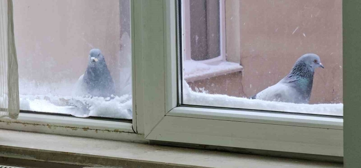 Tatvan’da Sibirya Soğukları Etkili Oluyor: Çatılarda Metrelerce Buz Sarkıtları Oluştu