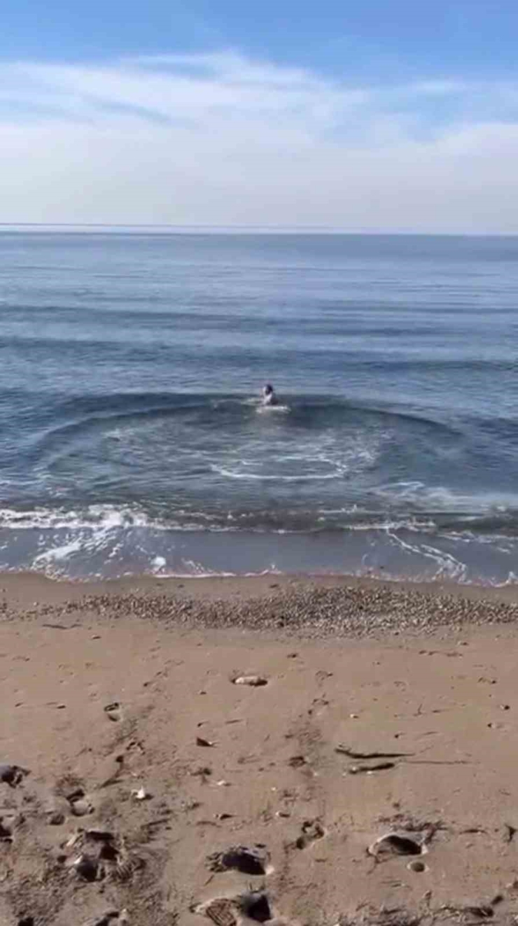 Bursa’da Dondurucu Soğukta Deniz Keyfi