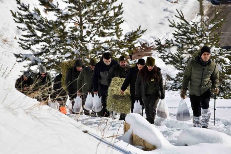 Gümüşhane’de Aç Kalan Yaban Hayvanları İçin Seferberlik
