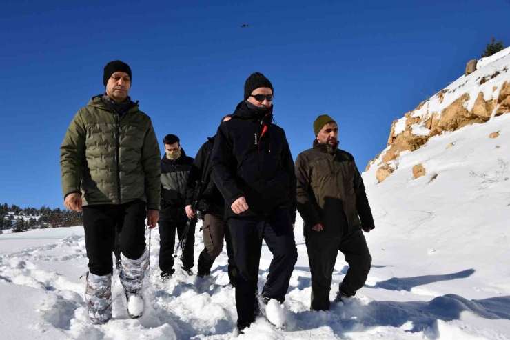 Gümüşhane’de Aç Kalan Yaban Hayvanları İçin Seferberlik