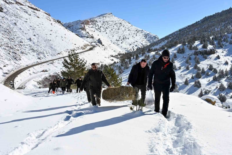 Gümüşhane’de Aç Kalan Yaban Hayvanları İçin Seferberlik