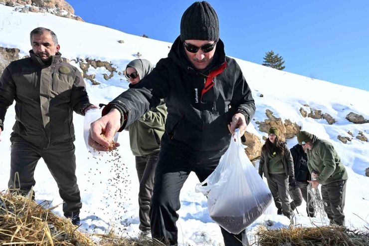 Gümüşhane’de Aç Kalan Yaban Hayvanları İçin Seferberlik