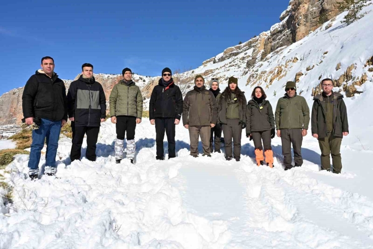 Gümüşhane’de Aç Kalan Yaban Hayvanları İçin Seferberlik