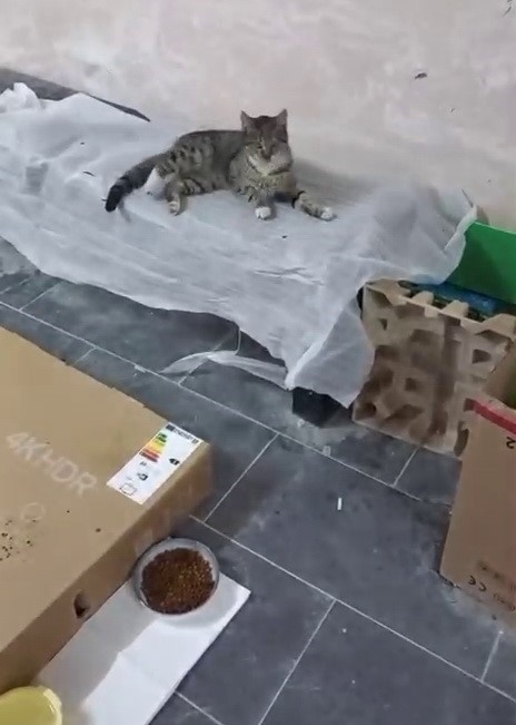 Adıyamanlılar Sokak Hayvanlarını Unutmadı