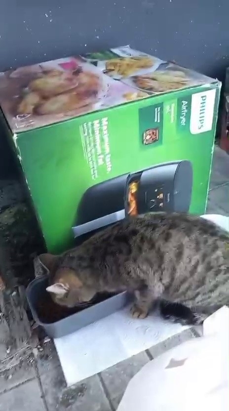 Adıyamanlılar Sokak Hayvanlarını Unutmadı