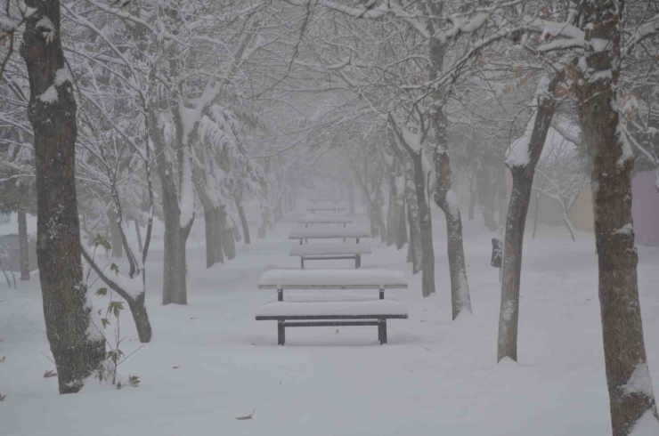 Besni’de Kar Yağışı İlçeyi Beyaza Bürüdü