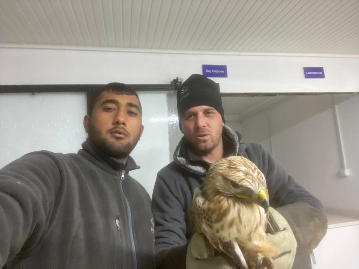 Germencik’te Belediyenin İhbar Hattı Yaban Hayvanlarına Da Umut Oluyor