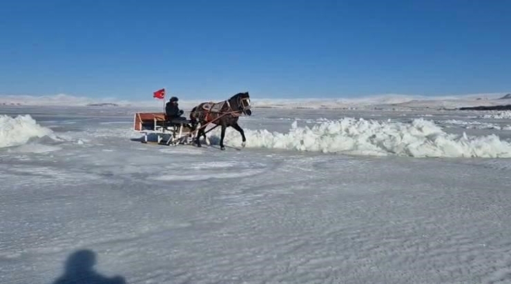Çıldır Gölü Tamamen Dondu: Eksi 30 Dereceyle Atlı Kızak Keyfine Hazır