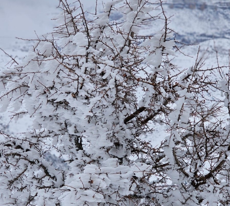 Malatya’da Dondurucu Soğuklar Etkili Oluyor