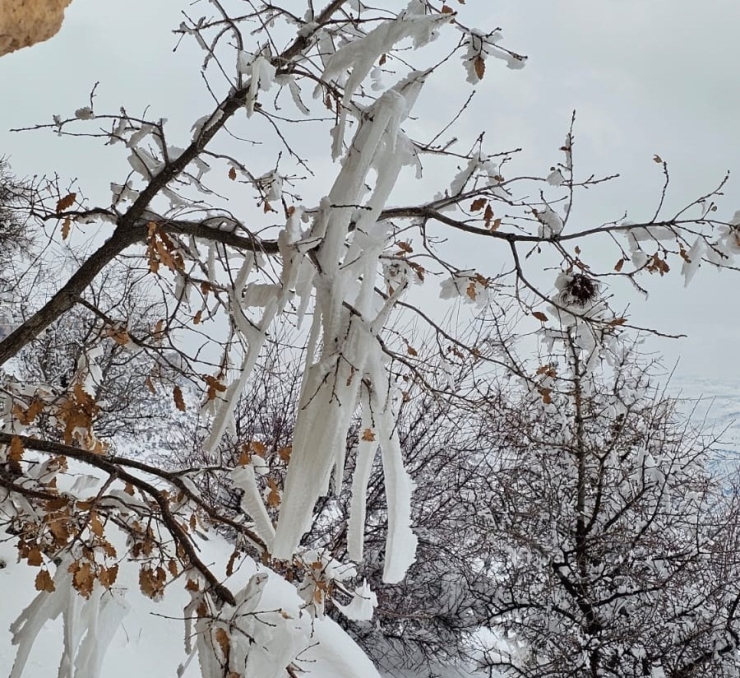 Malatya’da Dondurucu Soğuklar Etkili Oluyor