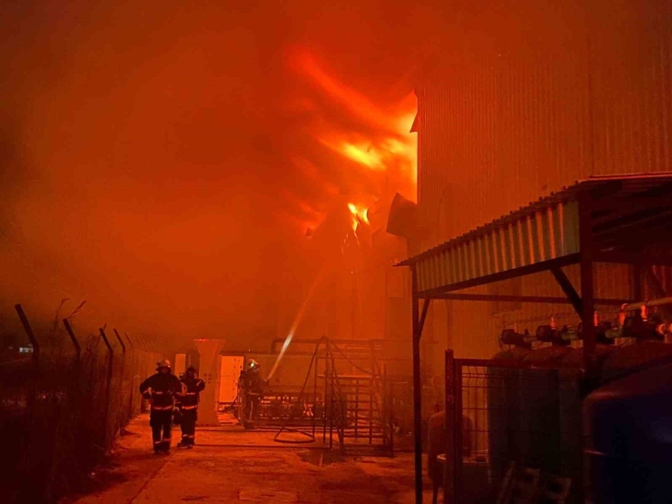 Antalya’da Market Deposu Alev Alev Yandı, Temel Gıda Alanı Küle Döndü