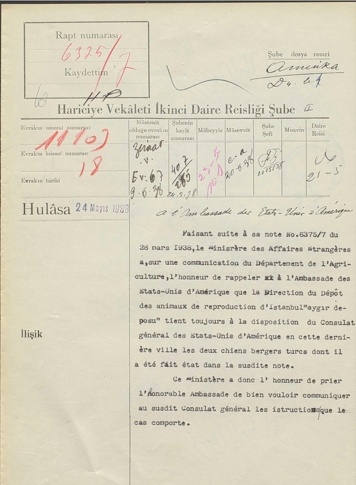 Atatürk’ün Onayıyla Erzurum’dan Okyanusu Aşan Köpekler