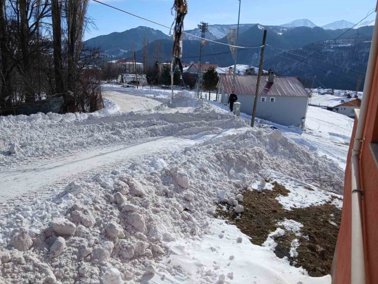 Posof’ta Karla Mücadele Çalışmaları Başladı