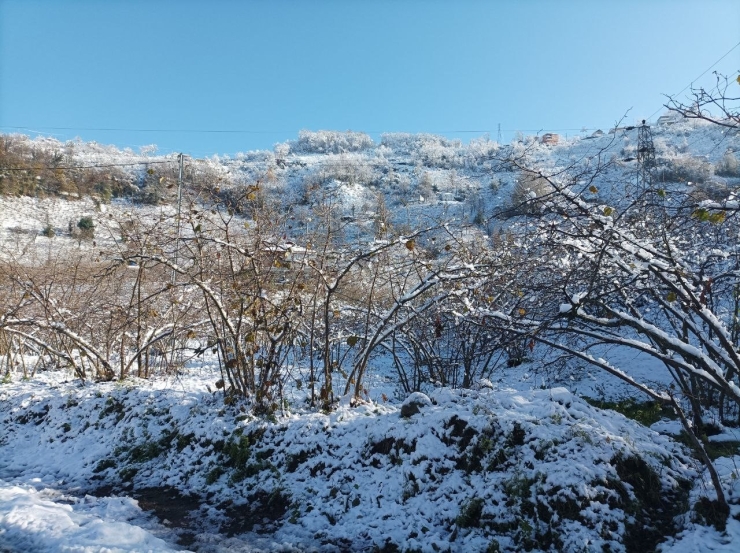 Mevsiminde Yağan Kar Fındık Üreticisini Sevindirdi