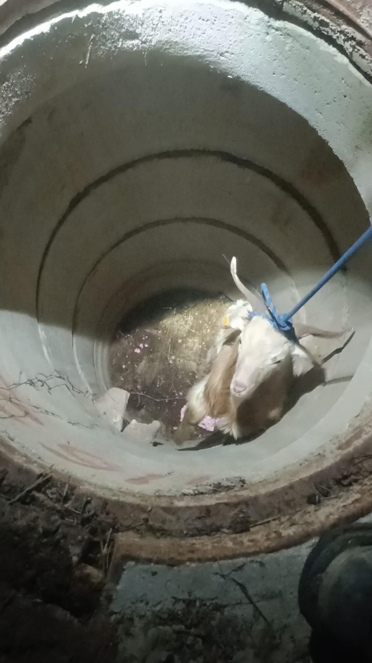 Su Kuyusunda Mahsur Kalan Keçiyi İtfaiye Kurtardı