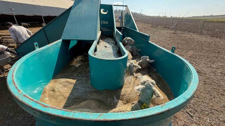 İ̇negöl Belediyesi’nden Tarıma Ve Üreticiye Tam Destek