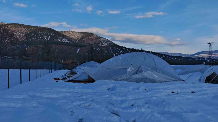 Seraların Çökme Anı Kamerada: Kar Altında Kaldı, Komşularının Yardımıyla Kurtarıldı