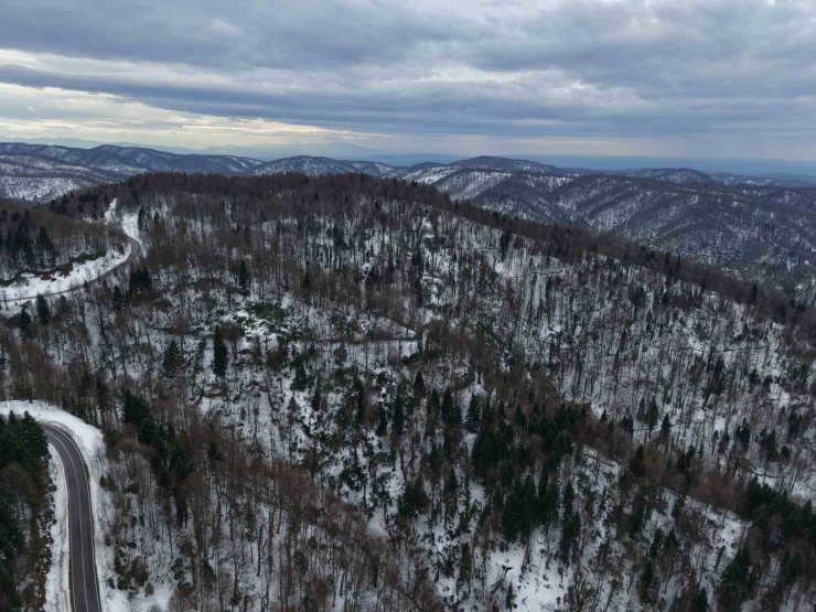 Karla Kaplanan 900 Rakımlı Çam Dağı, Kartpostallık Görüntüler Sundu
