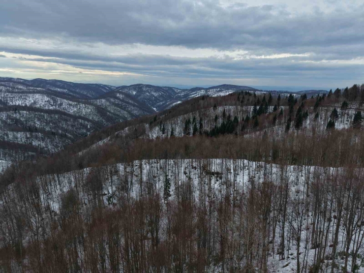 Karla Kaplanan 900 Rakımlı Çam Dağı, Kartpostallık Görüntüler Sundu