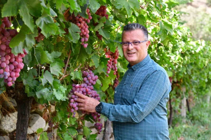 Başkan Öküzcüoğlu Yılın En Başarılı İlçe Belediye Başkanı Seçildi