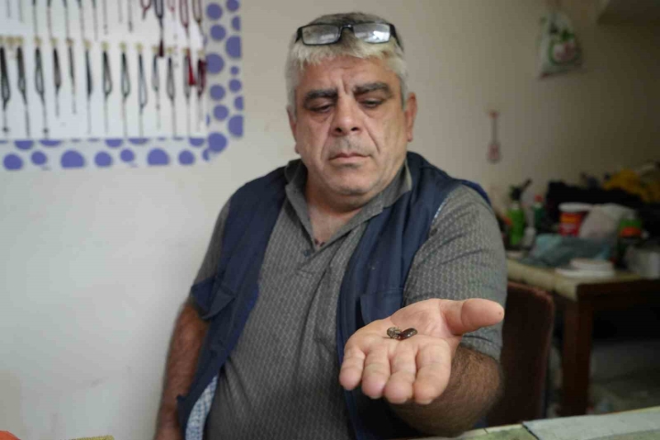 Bayburtlu Kehribar Ustası İşlediği Taşta Milyonlarca Yıllık Böcek Fosili Buldu