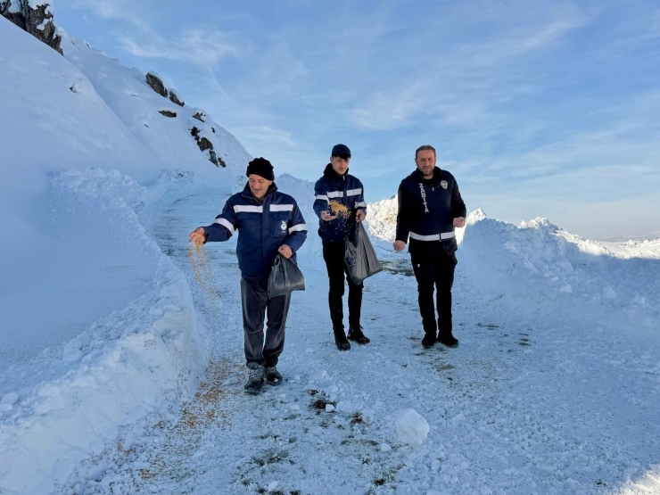 Mutki Belediyesi Zorlu Kış Şartlarında Yaban Hayatını Unutmadı