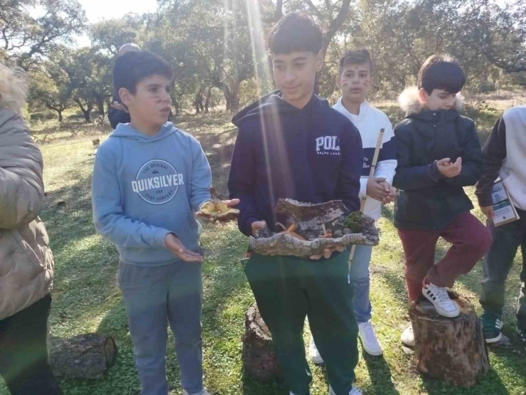 Gazi İ̇lkokulu’ndan Erasmus+ İle Avrupa’ya Çevre Odaklı Eğitim Köprüsü