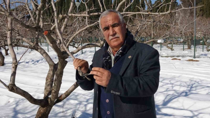 Kar Yağışı Gaziantep’te Çiftçinin Yüzünü Güldürdü