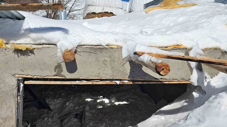 Yüksekova’da Çığ Yaraları Sarılıyor: