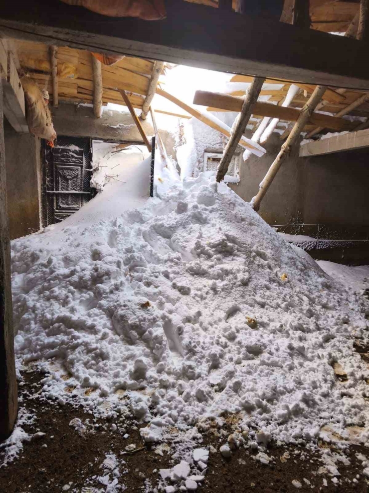 Yüksekova’da Çığ Yaraları Sarılıyor: